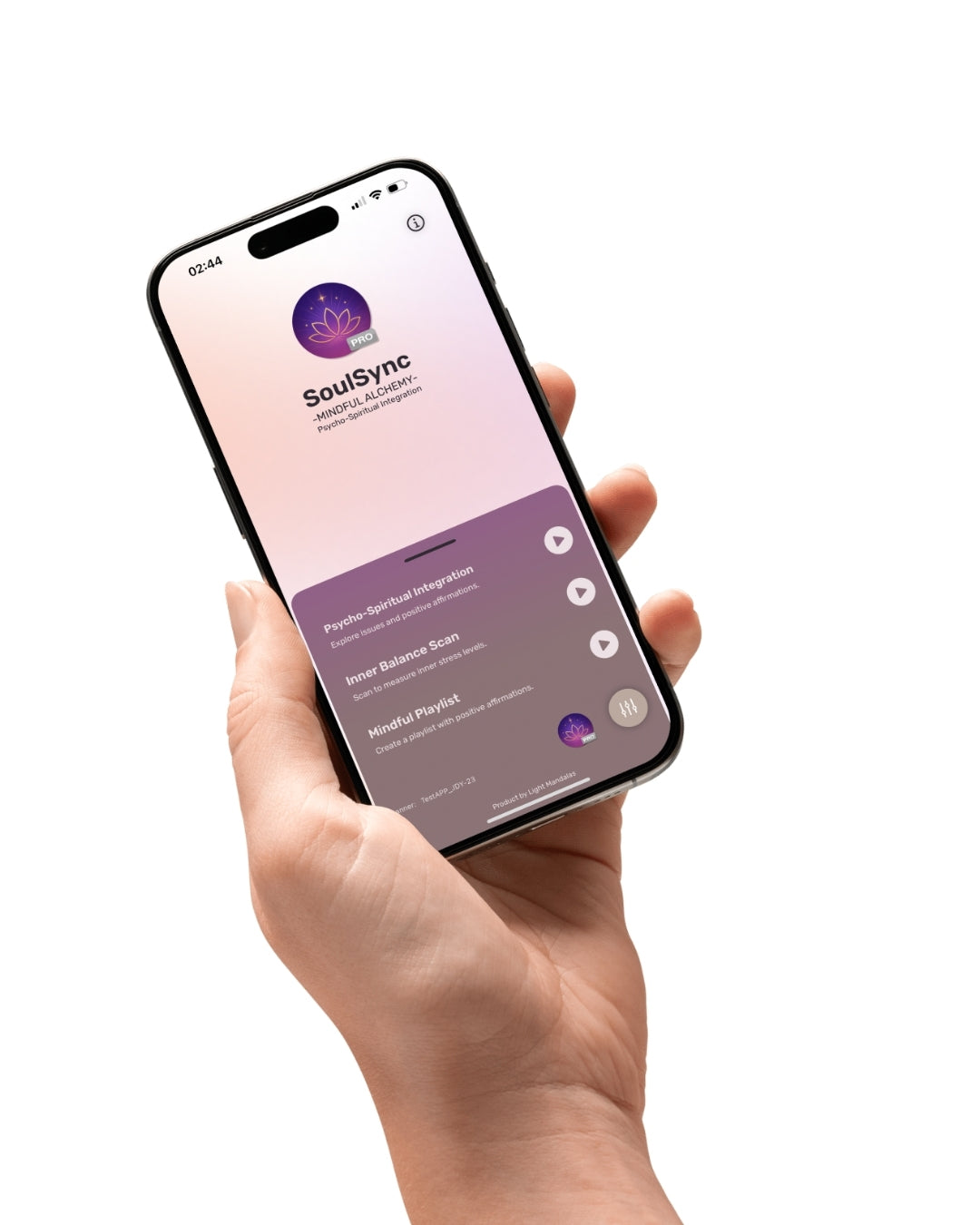 SoulSync Application (iOS) + Mandala Scan