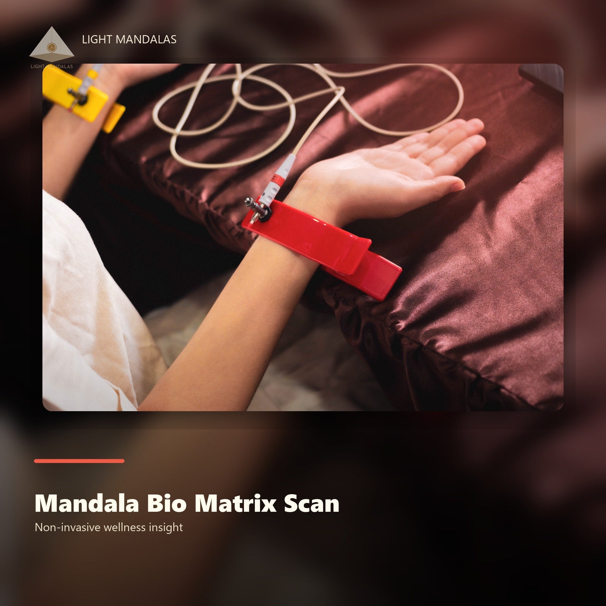 Mandala Bio Matrix Scan non-invasive wellness insight